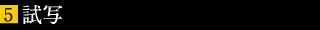 試写